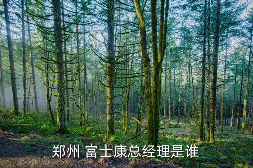 富士康國際控股有限集團
