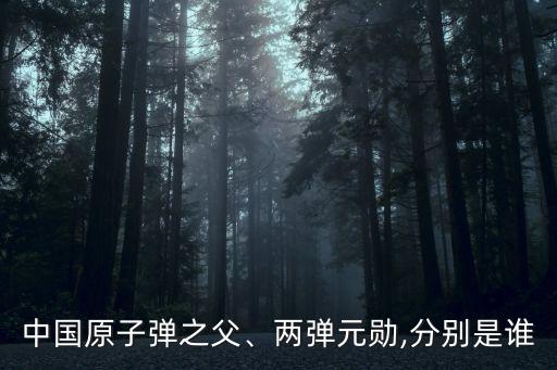中國(guó)原子彈之父、兩彈元?jiǎng)?分別是誰(shuí)