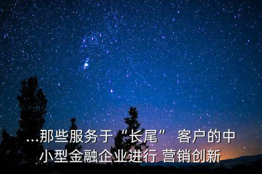...那些服務(wù)于“長(zhǎng)尾” 客戶(hù)的中小型金融企業(yè)進(jìn)行 營(yíng)銷(xiāo)創(chuàng)新