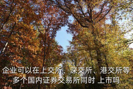 企業(yè)可以在上交所、深交所、港交所等多個(gè)國(guó)內(nèi)證券交易所同時(shí) 上市嗎