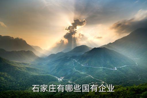 河北省國資控股集團公司,招遠市國資集團公司領導班子