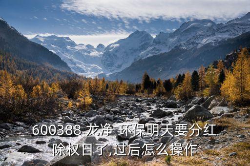 600388 龍凈 環(huán)保明天要分紅除權日了,過后怎么操作