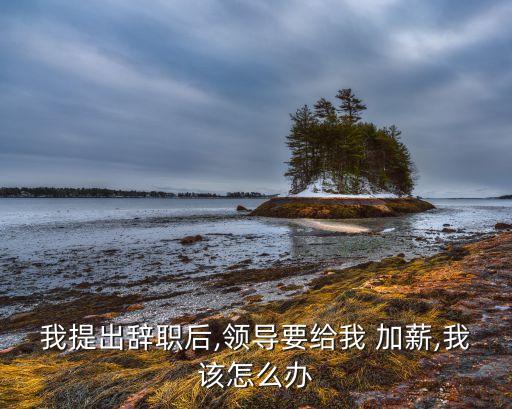 體現(xiàn)公司不在賺錢(qián)但加薪通知