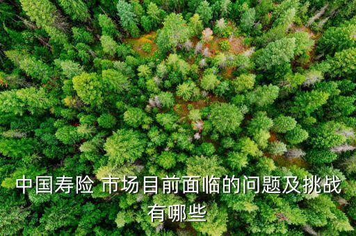 中國壽險(xiǎn) 市場(chǎng)目前面臨的問題及挑戰(zhàn)有哪些