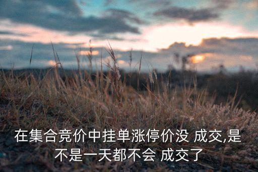在集合競(jìng)價(jià)中掛單漲停價(jià)沒 成交,是不是一天都不會(huì) 成交了