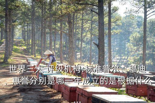 世界三大 評級機構(gòu):標(biāo)準(zhǔn)普爾、穆迪、惠譽分別是哪一年成立的是根據(jù)什么...