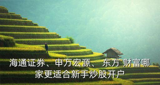 海通證券、申萬宏源、 東方 財(cái)富哪家更適合新手炒股開戶