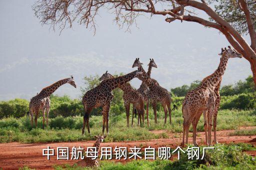 中國(guó)航母用鋼來自哪個(gè)鋼廠