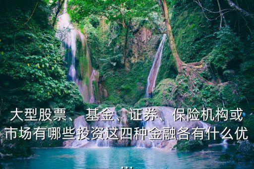 大型股票、 基金、證券、保險機構或市場有哪些投資這四種金融各有什么優(yōu)...
