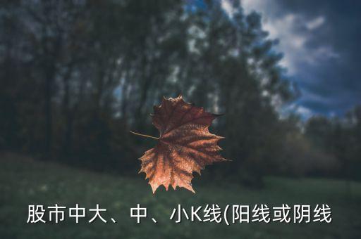 股市中大、中、小K線(陽(yáng)線或陰線