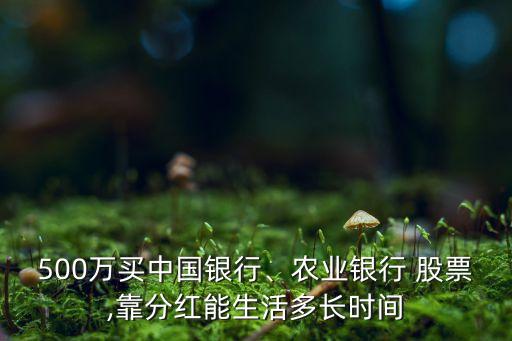 500萬買中國銀行、農(nóng)業(yè)銀行 股票,靠分紅能生活多長時間