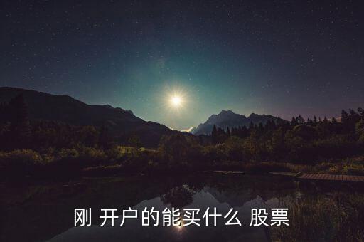 剛 開(kāi)戶的能買(mǎi)什么 股票