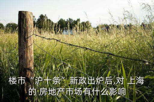 樓市“滬十條”新政出爐后,對 上海的 房地產市場有什么影響