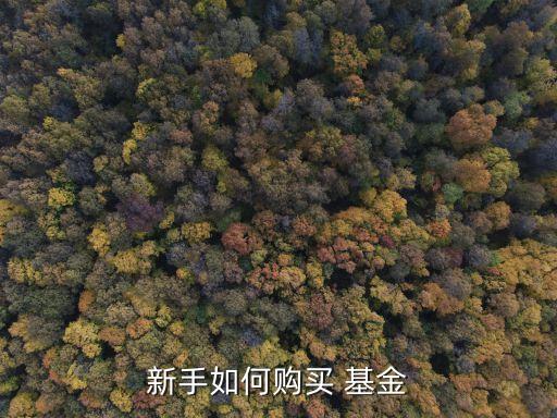 銀行基金怎么買(mǎi)賣(mài),銀行與基金公司怎么合作
