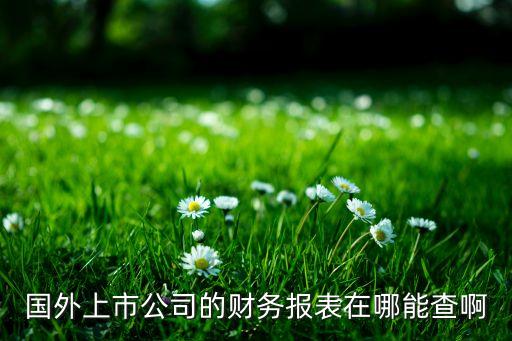 國外上市公司的財務(wù)報表在哪能查啊