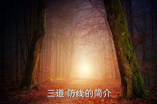 證券公司風(fēng)險(xiǎn)管理的三道防線(xiàn),風(fēng)險(xiǎn)管理三道防線(xiàn)是什么