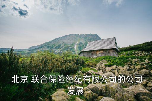  北京 聯(lián)合保險經(jīng)紀有限公司的公司發(fā)展