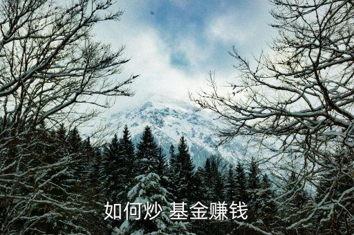 基金操盤手,社?；鸩俦P手