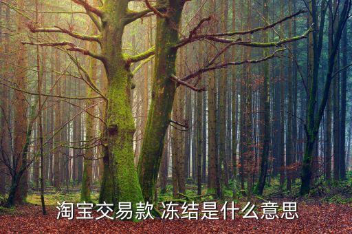 淘寶交易款 凍結是什么意思