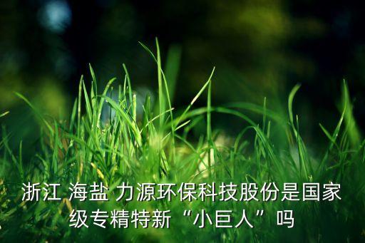 浙江 海鹽 力源環(huán)?？萍脊煞菔菄壹墝＞匦隆靶【奕恕眴? class=