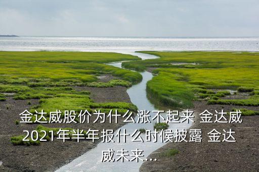  金達(dá)威股價為什么漲不起來 金達(dá)威2021年半年報什么時候披露 金達(dá)威未來...