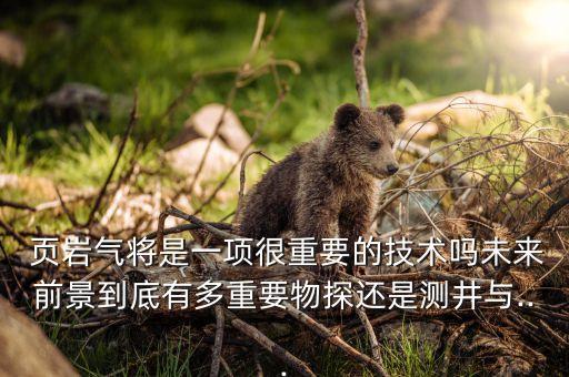  頁巖氣將是一項(xiàng)很重要的技術(shù)嗎未來前景到底有多重要物探還是測(cè)井與...