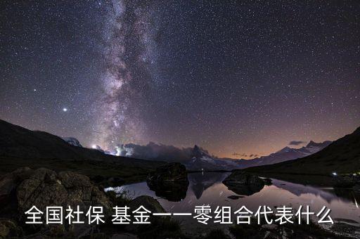 全國(guó)社保 基金一一零組合代表什么