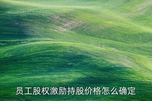 員工股權激勵持股價格怎么確定