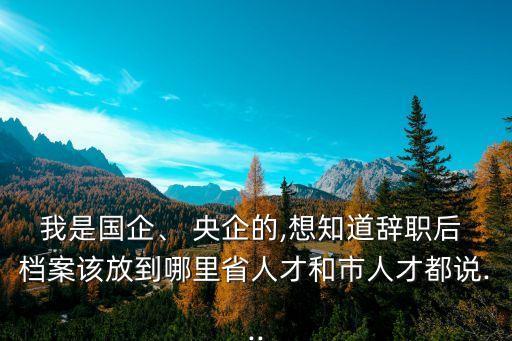 北京的央企檔案管理方式,央企有檔案管理權限嗎