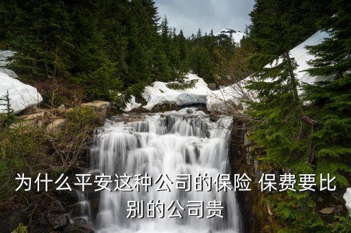 中國的保險保費(fèi)高