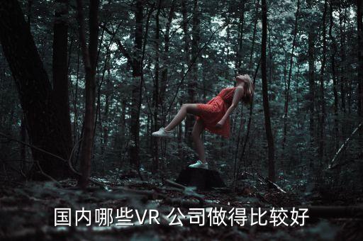 國內哪些VR 公司做得比較好