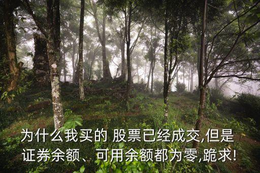 為什么我買的 股票已經(jīng)成交,但是 證券余額、可用余額都為零,跪求!