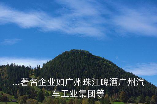 廣東省廣業(yè)輕化工業(yè)集團公司