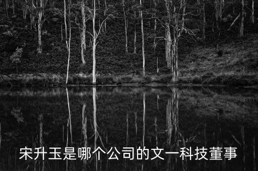 文一集團資產,安徽文一集團