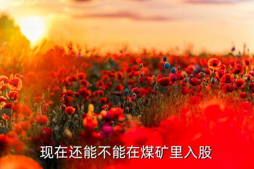 現在還能不能在煤礦里入股