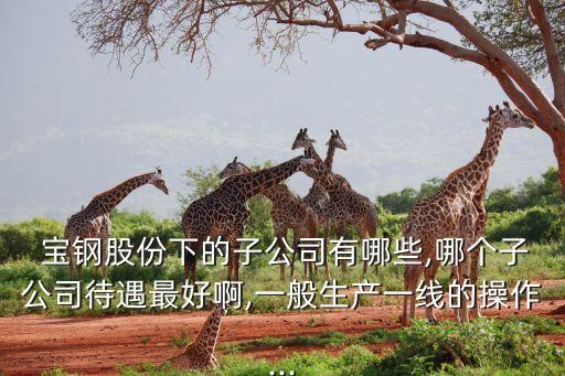 寶鋼國際貿易公司員工加薪嗎
