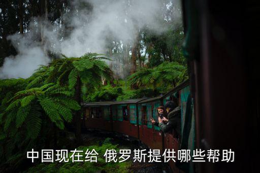 中國現在給 俄羅斯提供哪些幫助