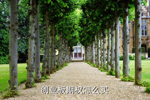 創(chuàng)業(yè)板期權(quán)怎么買(mǎi)