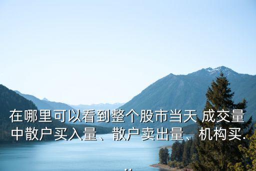 在哪里可以看到整個股市當(dāng)天 成交量中散戶買入量、散戶賣出量、機(jī)構(gòu)買...