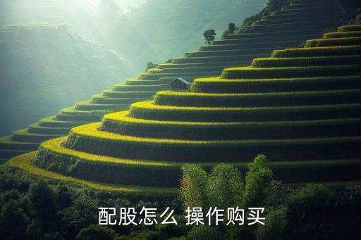  配股怎么 操作購(gòu)買(mǎi)
