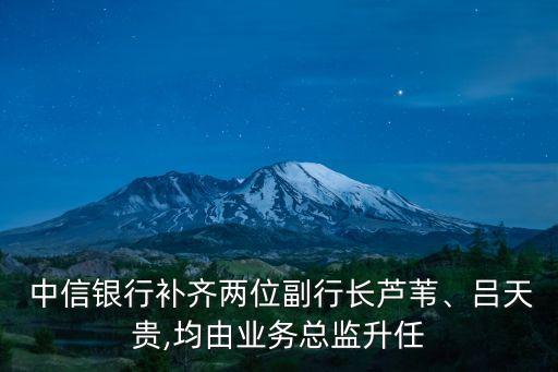  中信銀行補(bǔ)齊兩位副行長(zhǎng)蘆葦、呂天貴,均由業(yè)務(wù)總監(jiān)升任