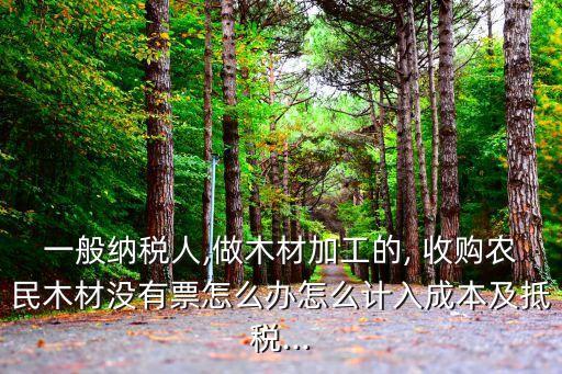 一般納稅人,做木材加工的, 收購(gòu)農(nóng)民木材沒有票怎么辦怎么計(jì)入成本及抵稅...
