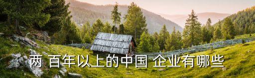 中國(guó)有多少家百年企業(yè),中國(guó)百年大學(xué)有多少家