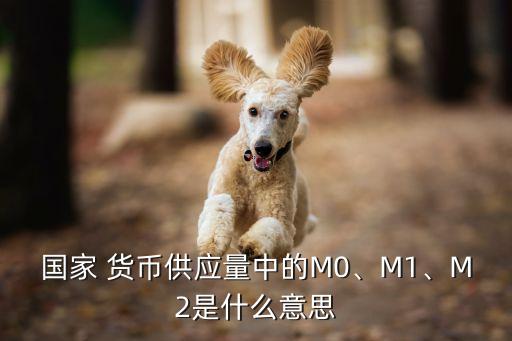 國(guó)家 貨幣供應(yīng)量中的M0、M1、M2是什么意思