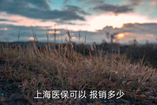  上海醫(yī)?？梢?報(bào)銷多少