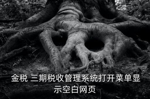 金稅 三期稅收管理系統(tǒng)打開菜單顯示空白網頁