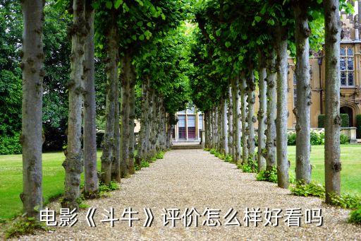 電影《斗?！吩u(píng)價(jià)怎么樣好看嗎