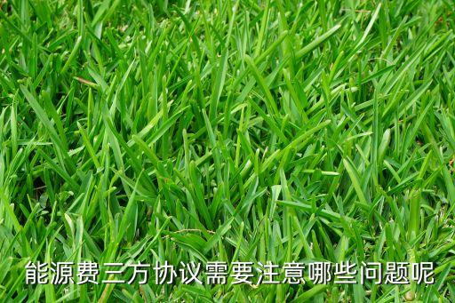  能源費(fèi)三方協(xié)議需要注意哪些問題呢