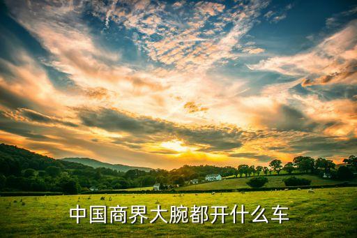中國(guó)商界大腕都開什么車
