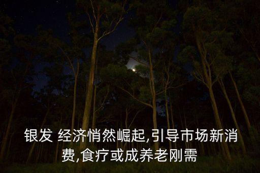  銀發(fā) 經(jīng)濟悄然崛起,引導(dǎo)市場新消費,食療或成養(yǎng)老剛需